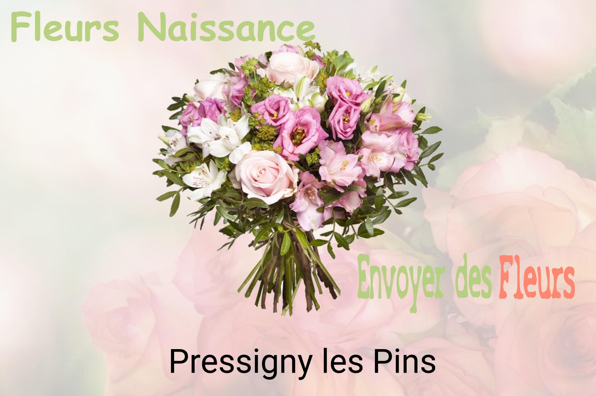 Bouquet de fleurs de naissance livré à Pressigny-les-Pins