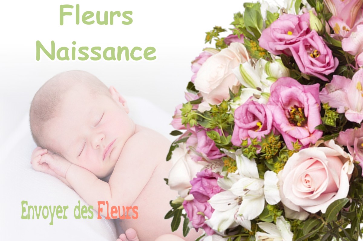 lIVRAISON FLEURS NAISSANCE à PRESSIGNY-LES-PINS