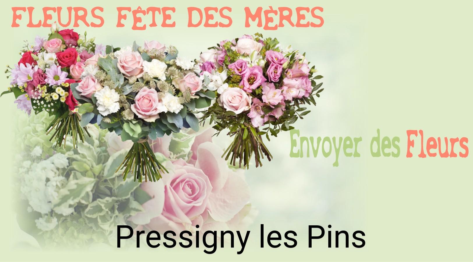 Bouquet de Fête des Mères livré à Pressigny-les-Pins